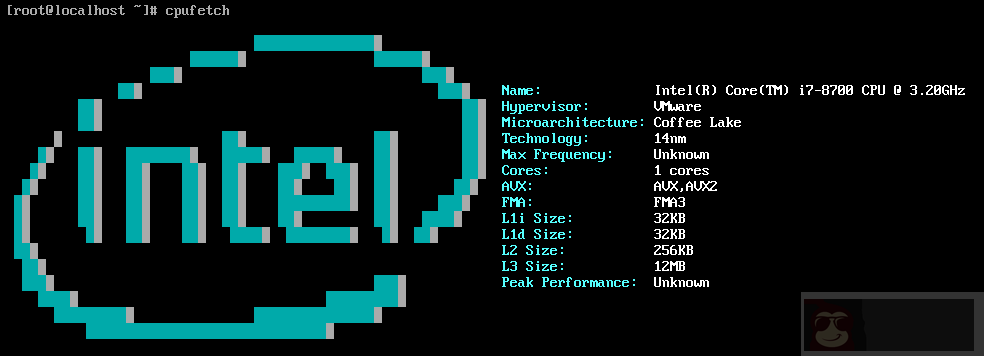 cpufetch – 查询 cpu 架构信息的工具