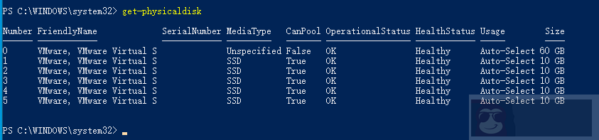 如何使用 PowerShell 获取物理磁盘的信息