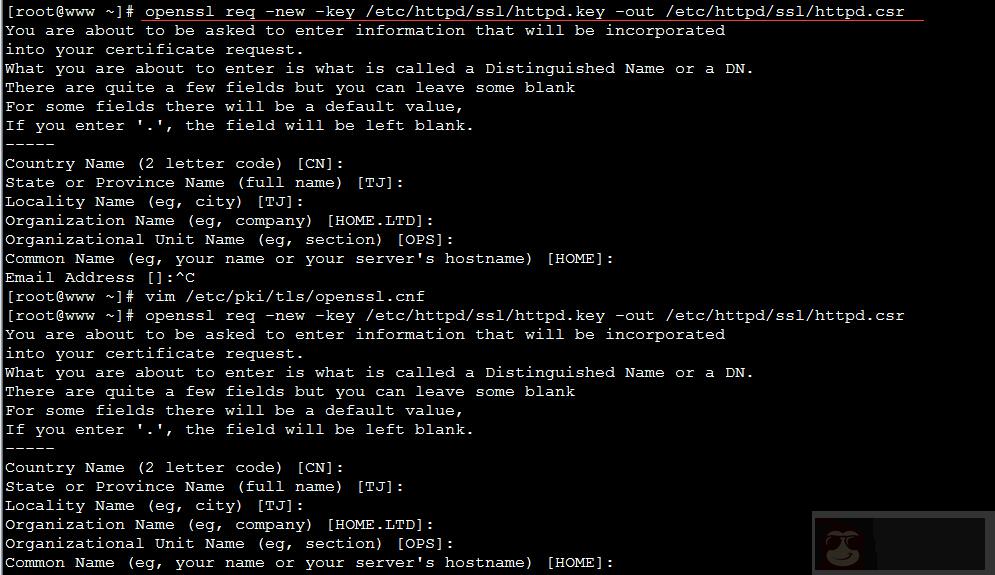 搭建私有 CA 服务器 搭建私有 CA 服务器