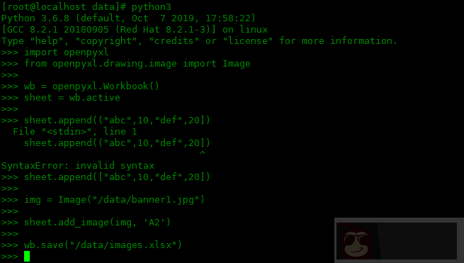 使用 openpyxl 处理表格数据 使用 openpyxl 处理表格数据