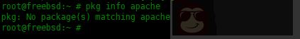 在 FreeBSD 中 pkg 包管理器使用实例