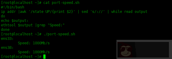Shell 脚本 – 查看网络接口信息