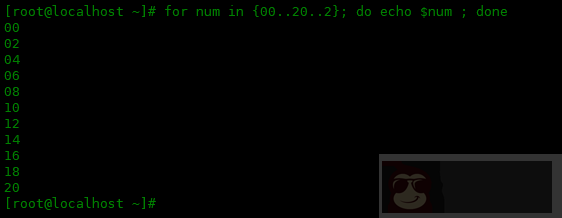 如何在 bash 中使用 {} 范围表达式