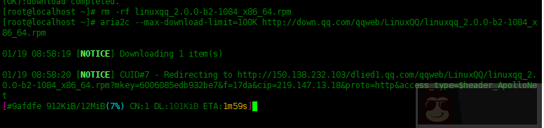 Linux 中如何使用 Aria2 下载文件