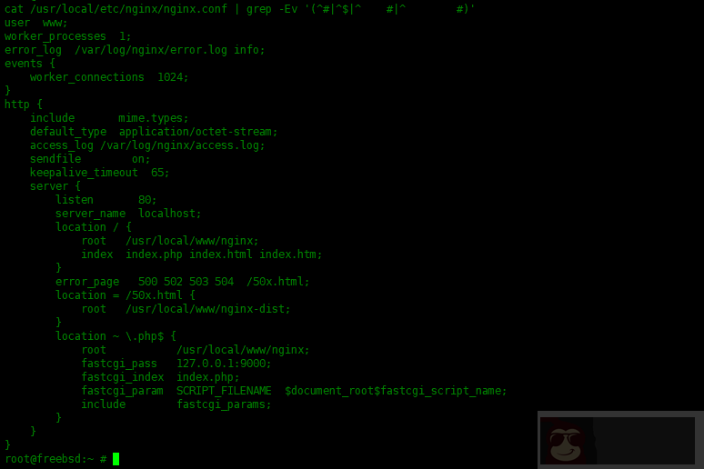 如何在 FreeBSD 中安装 Nginx,MySQL,PHP(FEMP)