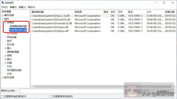 Windows 10 中检查已安装编解码器的几个方法 Windows 10 中检查已安装编解码器的几个方法