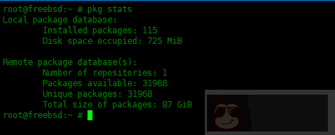 在 FreeBSD 中 pkg 包管理器使用实例