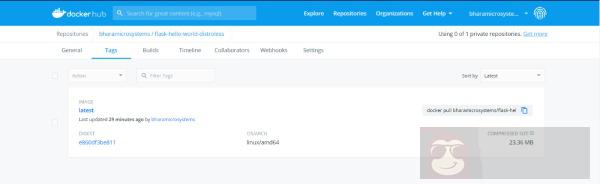 Distroless 加固容器安全