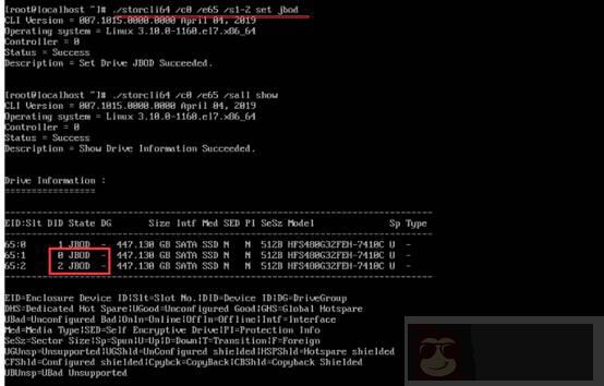 如何使用 storcli 在系统中管理 RAID 磁盘阵列
