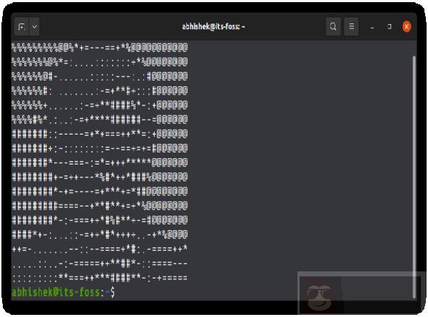 Linux 终端上如何将图像转换成 ASCII 艺术