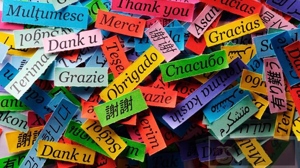 在 Ubuntu 上通过命令行改变 Linux 系统语言