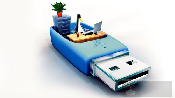 如何将多个发行版放在一个驱动器上？