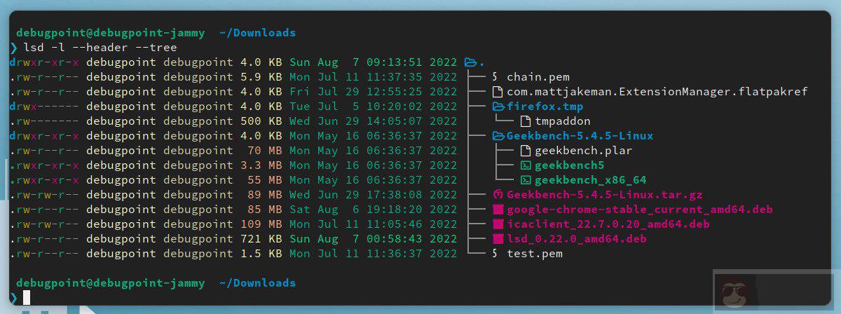使用 lsd 和 exa 来重新想象和设计你的文件和目录列表 使用 lsd 和 exa 来重新想象和设计你的文件和目录列表