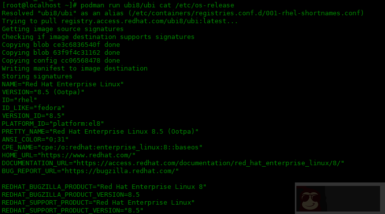 如何快速建立一个 podman 环境 如何快速建立一个 podman 环境