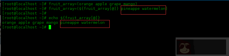 如何在 bash 中使用索引数组 如何在 bash 中使用索引数组