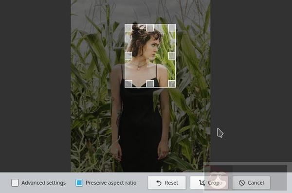 如何在 Linux KDE 桌面上使用照片编辑器 Gwenview？