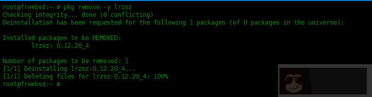 在 FreeBSD 中 pkg 包管理器使用实例