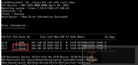 如何使用 storcli 在系统中管理 RAID 磁盘阵列
