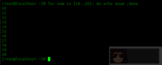 如何在 bash 中使用 {} 范围表达式