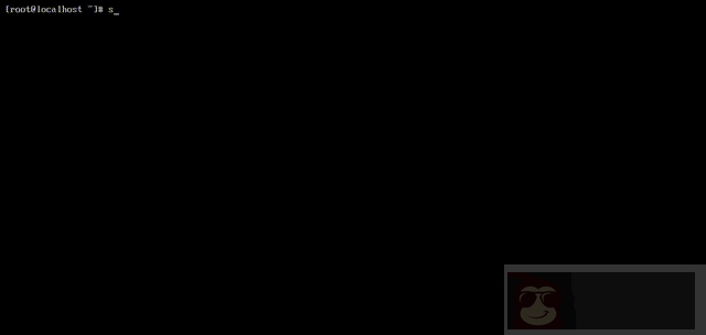 cpufetch – 查询 cpu 架构信息的工具