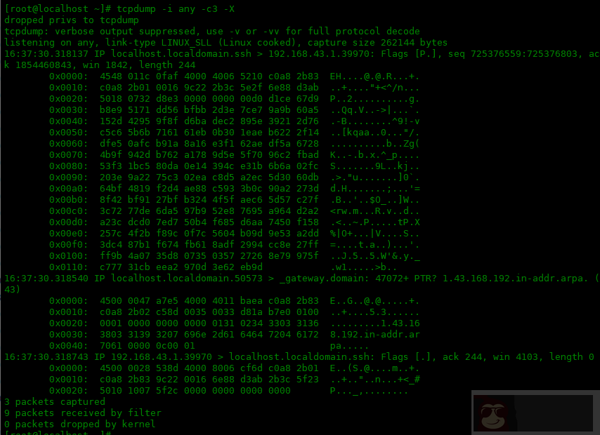 tcpdump 命令的常用选项:三 tcpdump 命令的常用选项:三