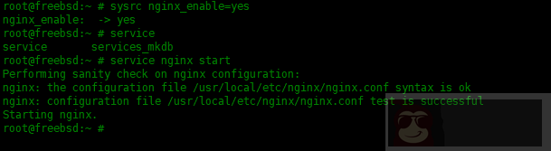 如何在 FreeBSD 中安装 Nginx,MySQL,PHP(FEMP)