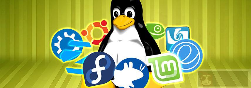 如何使用 Neofetch 个性化显示 Linux 系统信息 如何使用 Neofetch 个性化显示 Linux 系统信息