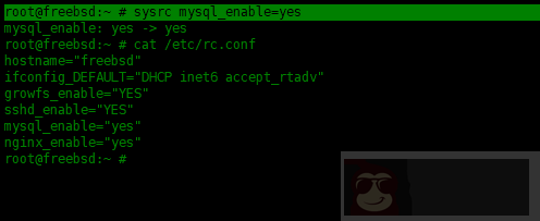 如何在 FreeBSD 中安装 Nginx,MySQL,PHP(FEMP)
