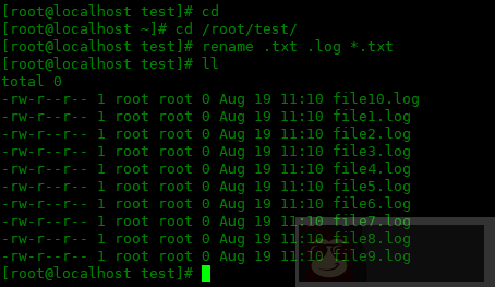 Centos8 中如何更改文件夹中多个文件的扩展名 Centos8 中如何更改文件夹中多个文件的扩展名
