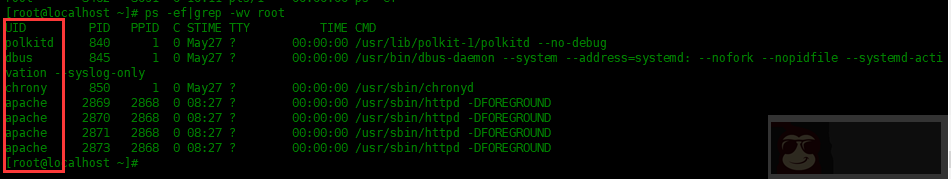 如何使用 grep 命令的排除功能