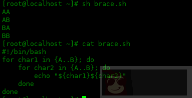 如何在 bash 中使用 {} 范围表达式