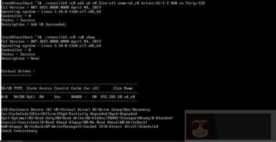 如何使用 storcli 在系统中管理 RAID 磁盘阵列