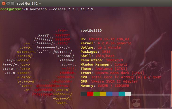 如何使用 Neofetch 个性化显示 Linux 系统信息 如何使用 Neofetch 个性化显示 Linux 系统信息