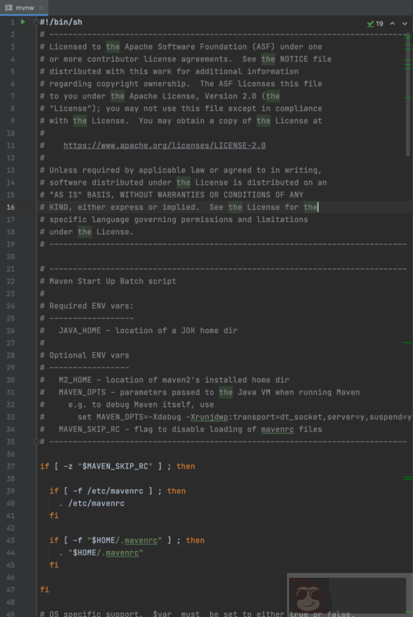 解读 Spring Initializr 中的 Mvnw