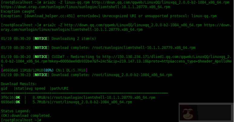 Linux 中如何使用 Aria2 下载文件