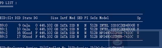 如何使用 storcli 在系统中管理 RAID 磁盘阵列