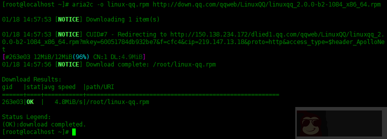 Linux 中如何使用 Aria2 下载文件