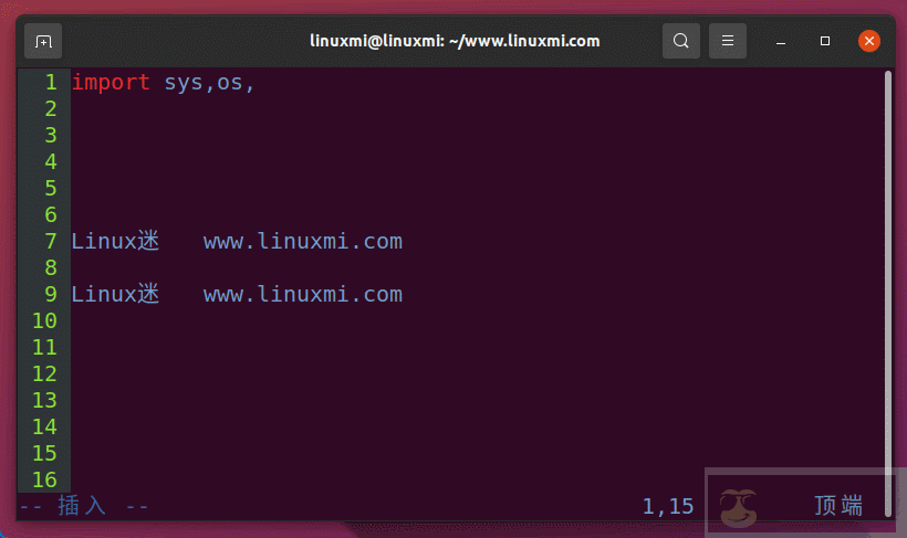 调整 VIM，实时格式化你的代码