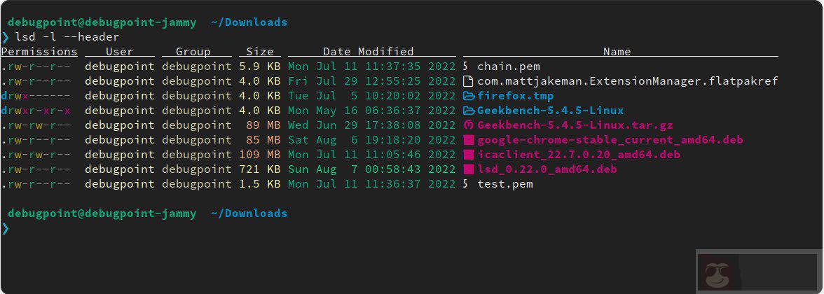 使用 lsd 和 exa 来重新想象和设计你的文件和目录列表 使用 lsd 和 exa 来重新想象和设计你的文件和目录列表