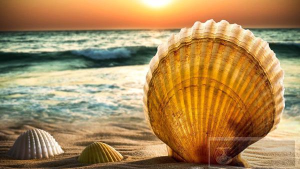 了解如何用 Bash 读写文件 了解如何用 Bash 读写文件