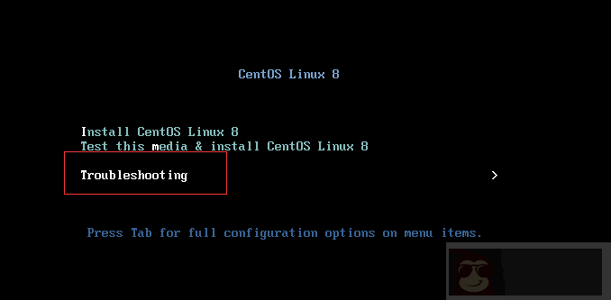 Centos8 如何在 Rescue 模式下配置网络和 SSH 登录