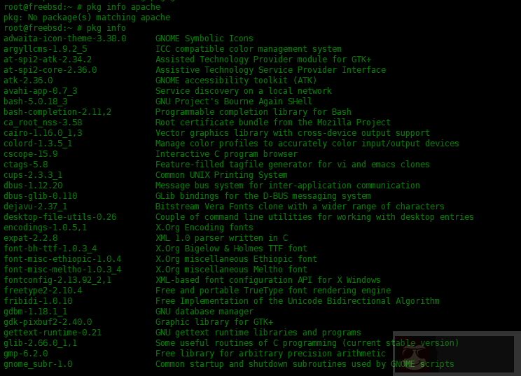 在 FreeBSD 中 pkg 包管理器使用实例
