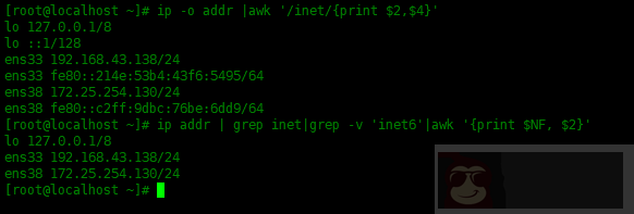Shell 脚本 – 查看网络接口信息