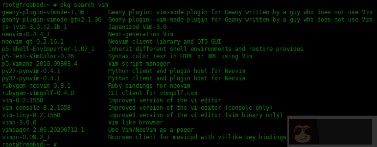 在 FreeBSD 中 pkg 包管理器使用实例