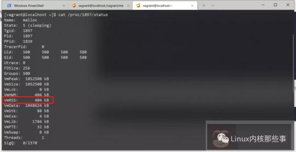 你确定你理解内存分配吗？