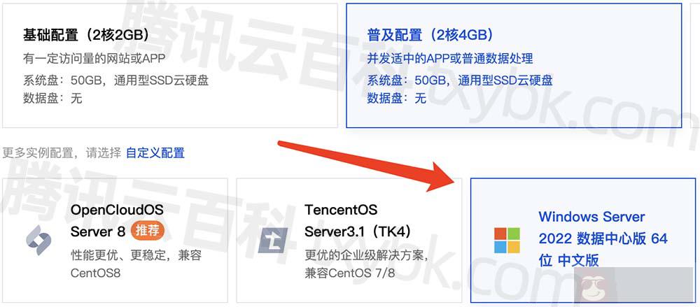 Windows Server 2022 数据中心版 64 位 中文版