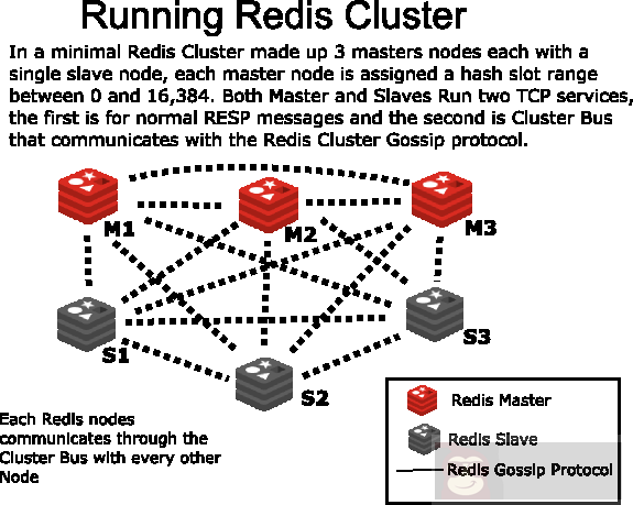 Redis 高可用性实践