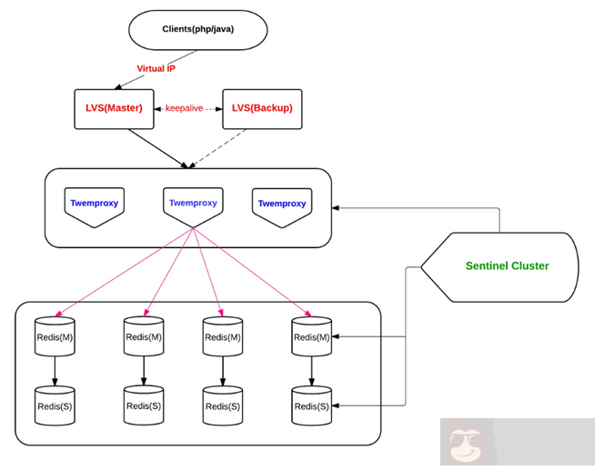 Redis 高可用性实践