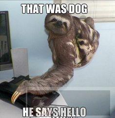 对于初学者来说 Javascript 也并不简单 对于初学者来说 Javascript 也并不简单