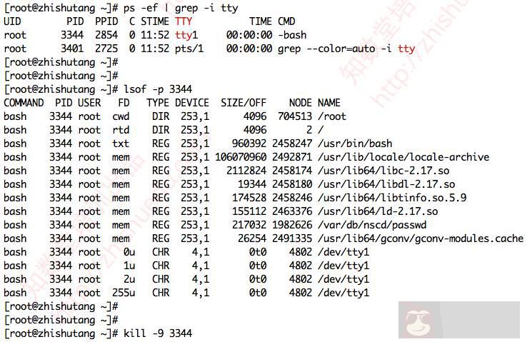 DBA 需关注系统的几个基本状态